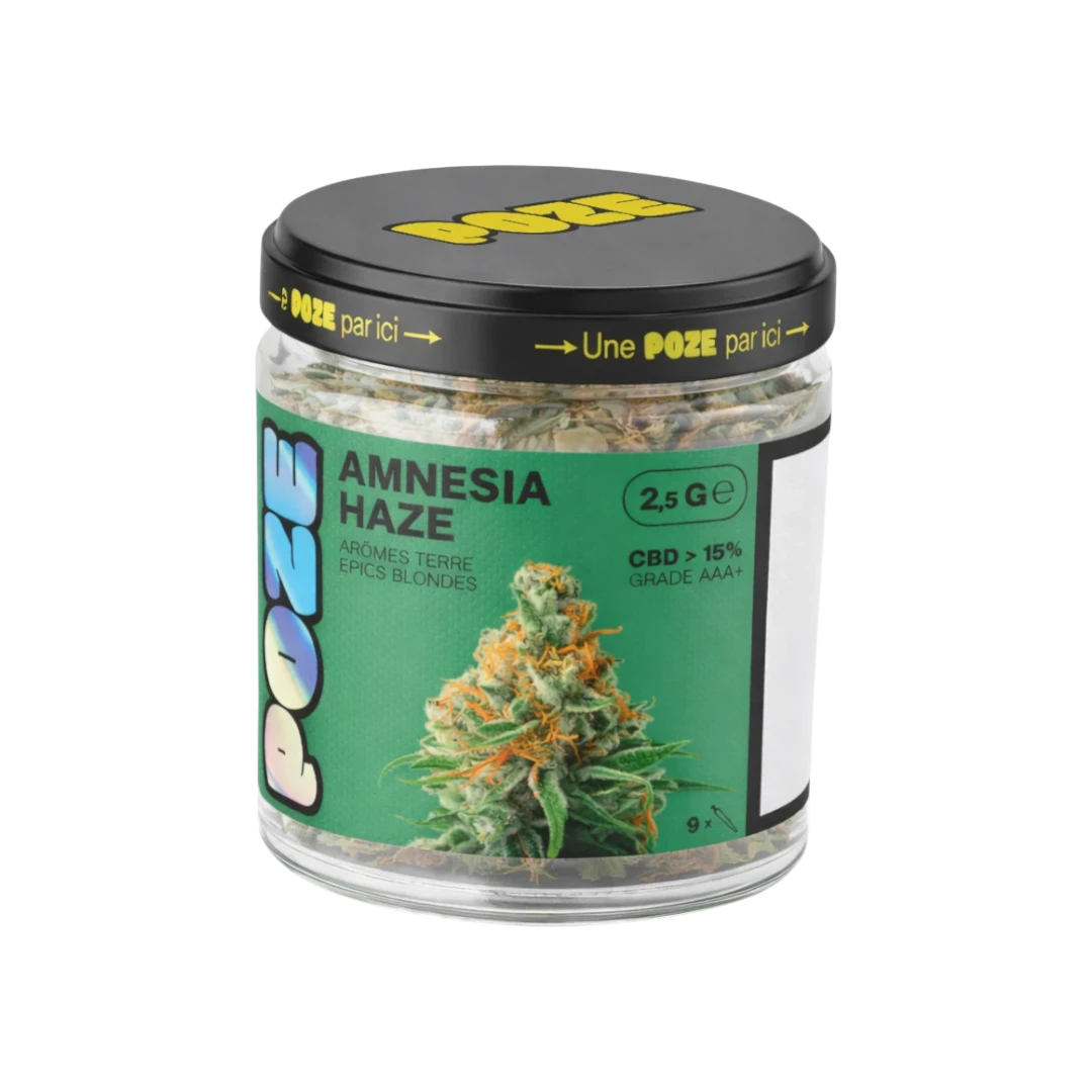 Pot de fleurs Amnesia Haze de Poze